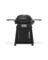 GRILL 2BNR MDNGT BLK 42"
