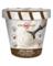 4.65OZ MAPLE ICE CREAM MIX DOGnw