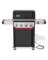 SPIRIT EP-425 BLACK NG