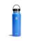 INSLTD BTTL SS AGVE 40OZ