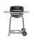 GRILL LQD PRPN 1 BLK