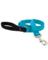 LEASH 6' AQUA NYLON