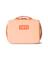 DAYTRIP INSUL LUNCH BOX