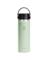 INSLTD BTL SS AL 20OZ