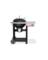 Performer 22" Charcoal Grill
