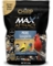 CHIRP MAX SONGBIRD 2.5#