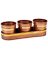 COPPER PLANTERS W/TRAY