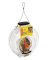 CANTEEN BIRD FEEDER CLR