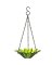 DAISY FEEDER LIME 7 3/4"