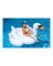 Inflatable Swan
