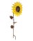 BIRD FEEDER SUNFLOWER