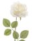 Silk White Rose W/snow