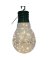 Led B/o Clr Edison Big