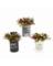 CMAS DECOR MILKCAN ASST