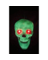 GLOW IN DRK TALKNG SKULL