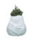 LRGE PLSTC TREE RMVL BAG