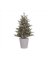 XMAS TREE ALLISN PNE 4"