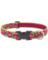 DOG COLLAR 12-20"PET ADJ