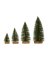 BOTTLE BRUSH TREES 4PC