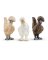 3PC 3Y+ Chicken Toy Assortment