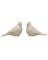 CMAS STONEWARE CARDINDAL