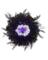 24" Prelit Black Spider Wreath