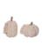 BRAIDED PUMPKIN WHT ASST