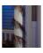 GARLAND BLK/ORN 6FT