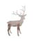 DEER SILHOUET TE 48'