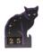 9" CAT DESK CALENDAR BLK