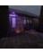16' LED Prelit Web Hanging Decor