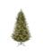 CMAS TREE HLND GRN 9'