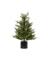 TREE POT B/O 80LT 4'