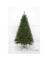 PRELIT MONTERY TREE 7'