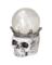SKULL SNOW GLOBE