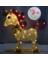 OUTDR UNICORN HEAD FRWD