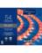 CMAS ROPE LGHT RD/WHT 9'