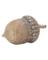HARVEST ACORN DECOR