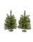 Tree Wlkwy Cscd 24"