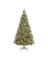 7-1/2' Tripoli Pine Xmas Tree
