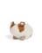 Warjr Guinea Pig
