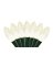 SOAP HAND OAT BLOSSOM 12.5OZ