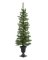 TREE 2PK STOWE 4' CLR