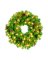 LIT CLR DECOR WREATH 24"