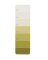 CHIP STRIP C29 PK15