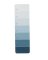 CHIP STRIP C42 PK15