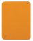 CHIP STRIP F21 PK15
