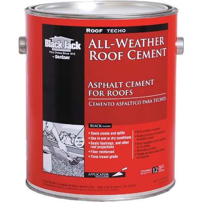 1GL WET/DRY ROOF CEMENT