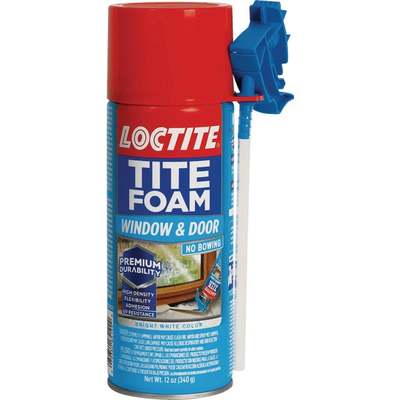 12OZ W&D FOAM SEALANT