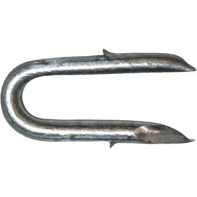 1LB 1-1/4 1BARB STAPLE